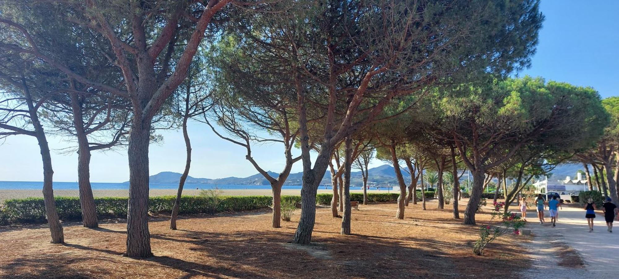 Sur La Plage, Super Studio Avec Vue Sur La Mer Plage d'Argeles Экстерьер фото